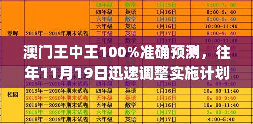 澳门王中王100%准确预测，往年11月19日迅速调整实施计划_STB4.65.59Allergo版（寓意灵活轻快）