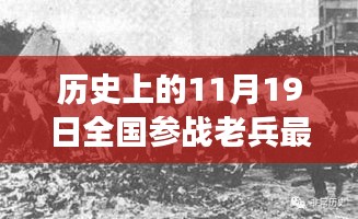 全国参战老兵见证科技荣光，最新智能产品引领关爱升级，11月19日最新消息回顾