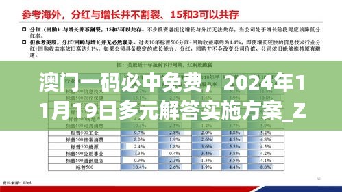 澳门一码必中免费，2024年11月19日多元解答实施方案_ZEA3.33.86实用版