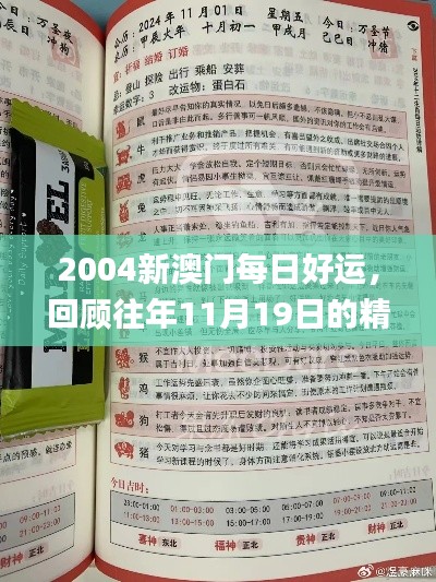 2004新澳门每日好运，回顾往年11月19日的精彩解读_UTK2.30.92定制版