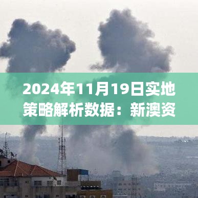 2024年11月19日实地策略解析数据：新澳资料长期免费公开24码_ICG6.28.77习惯版