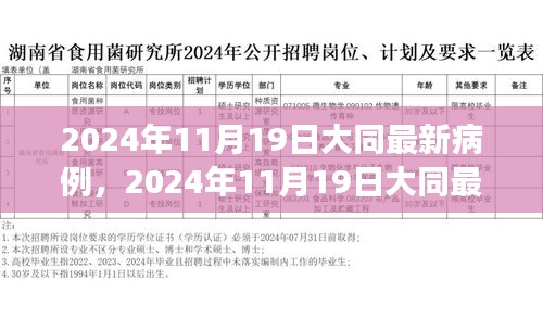 大同市最新病例分析与防控观察（2024年11月19日更新）