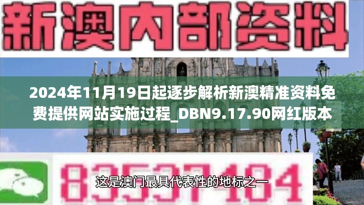 2024年11月19日起逐步解析新澳精准资料免费提供网站实施过程_DBN9.17.90网红版本