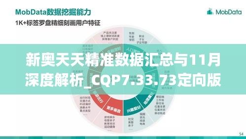 新奥天天精准数据汇总与11月深度解析_CQP7.33.73定向版