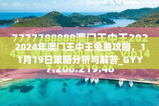 2024年澳门王中王免费攻略，11月19日策略分析与解答_GYY8.75.36大师版