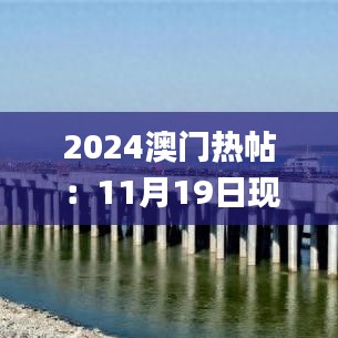 2024澳门热帖：11月19日现场数据实测_QHN4.64.79体育版