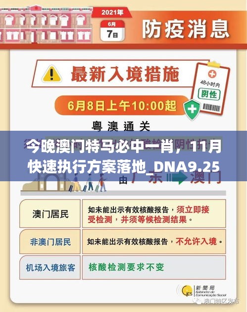 今晚澳门特马必中一肖，11月快速执行方案落地_DNA9.25.51高配版