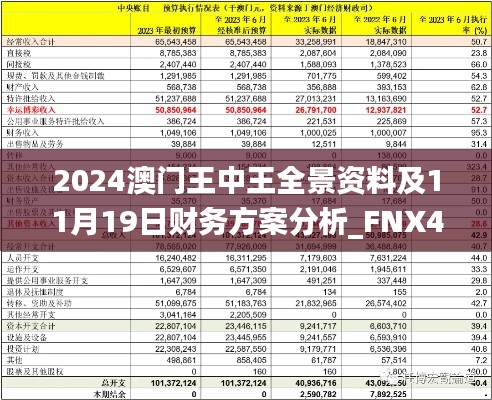 2024澳门王中王全景资料及11月19日财务方案分析_FNX4.40.69强劲版