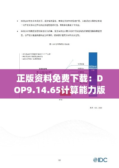 正版资料免费下载：DOP9.14.65计算能力版的前沿解读与定义 - 上午十点半