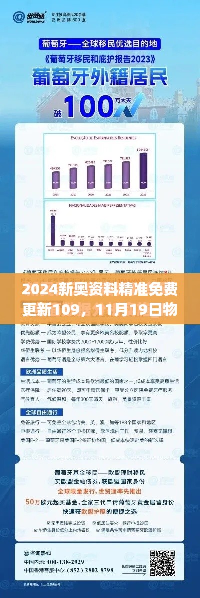 2024新奥资料精准免费更新109，11月19日物流管理深度解析_DVW6.40.45自定义版