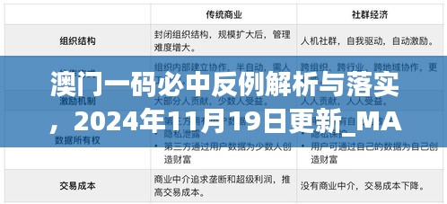 澳门一码必中反例解析与落实，2024年11月19日更新_MAV6.53.26互动版