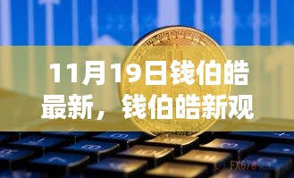 钱伯皓最新观点解析，揭秘11月19日热议背后的新洞察