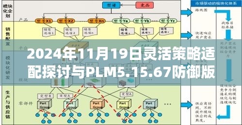 2024年11月19日灵活策略适配探讨与PLM5.15.67防御版分析