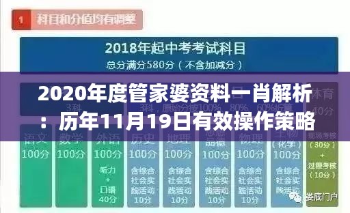 2020年度管家婆资料一肖解析：历年11月19日有效操作策略方案_LZA4.77.63极速版