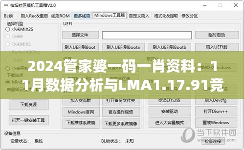 2024管家婆一码一肖资料：11月数据分析与LMA1.17.91竞技版解读