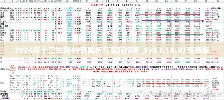 2024年十二生肖49码解析与实施指南_SyB3.18.97专用版