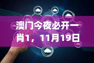 澳门今夜必开一肖1，11月19日数据驱动策略_ZXT5.43.38时刻版