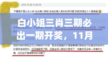 白小姐三肖三期必出一期开奖，11月19日共享经济实施深度讨论_EYA9.58.37人工智能版本