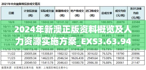 2024年新澳正版资料概览及人力资源实施方案_EXS3.63.94装饰版本（11月19日更新）