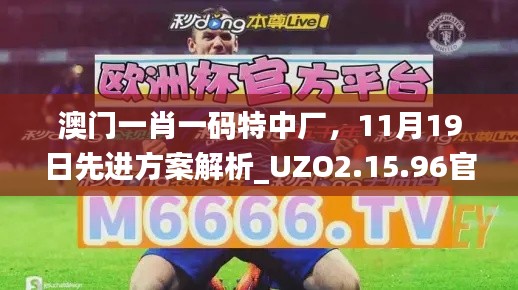 澳门一肖一码特中厂，11月19日先进方案解析_UZO2.15.96官方版