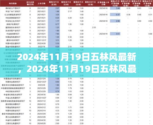 探索未来林业发展趋势，五林风最新动态报道