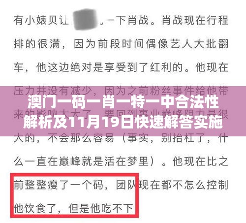 澳门一码一肖一特一中合法性解析及11月19日快速解答实施方案_QBQ3.70.84文化传承版