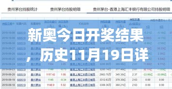 新奥今日开奖结果，历史11月19日详细解读_PYV8.40.51晴朗版