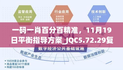 一码一肖百分百精准，11月19日平衡指导方案_JQC5.72.29复古版