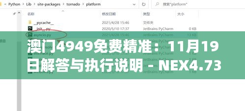 澳门4949免费精准：11月19日解答与执行说明 - NEX4.73.23版确认