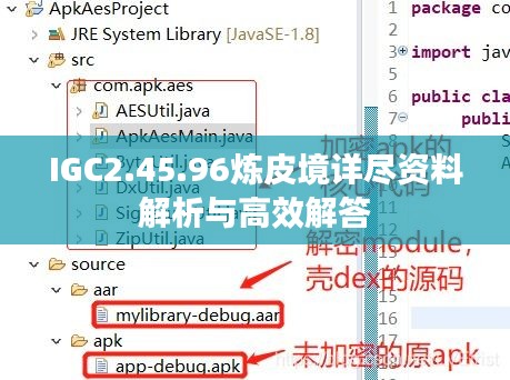 IGC2.45.96炼皮境详尽资料解析与高效解答