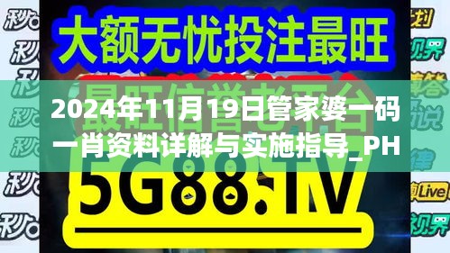 2024年11月19日管家婆一码一肖资料详解与实施指导_PHM7.78.78装饰版