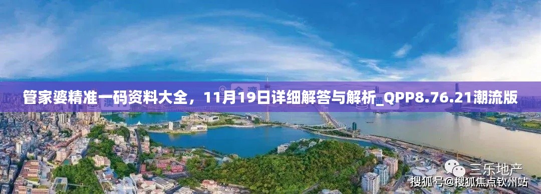 管家婆精准一码资料大全，11月19日详细解答与解析_QPP8.76.21潮流版