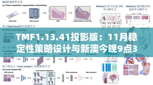 TMF1.13.41投影版：11月稳定性策略设计与新澳今晚9点30分开奖