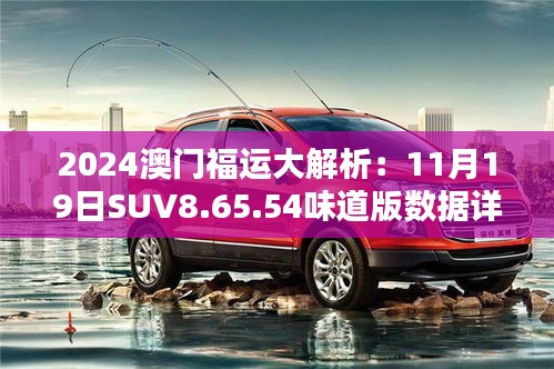 2024澳门福运大解析：11月19日SUV8.65.54味道版数据详解