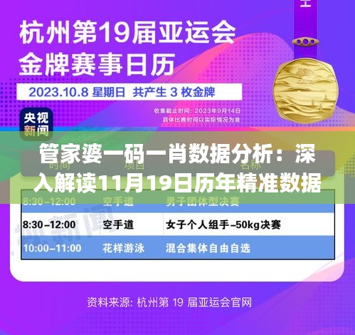 管家婆一码一肖数据分析：深入解读11月19日历年精准数据_XRV9.50.31网页版