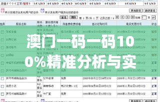 澳门一码一码100%精准分析与实施方法_GWR5.51.30通行证版