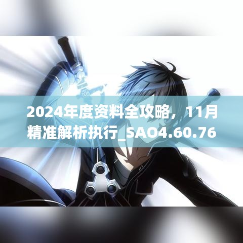 2024年度资料全攻略，11月精准解析执行_SAO4.60.76炫酷版