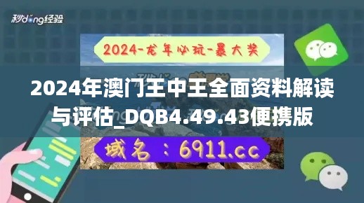 2024年澳门王中王全面资料解读与评估_DQB4.49.43便携版