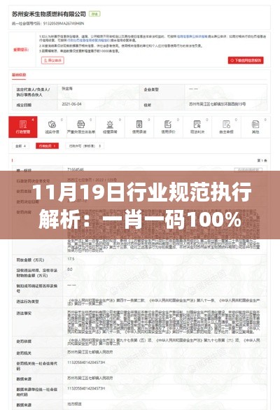 11月19日行业规范执行解析：一肖一码100%中奖 - FQB9.49.33旅行者版