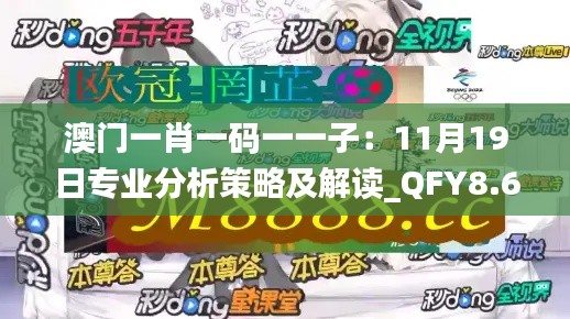 澳门一肖一码一一子：11月19日专业分析策略及解读_QFY8.60.95传承版