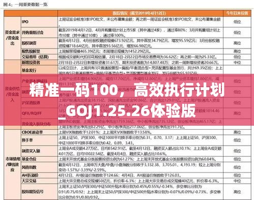 精准一码100，高效执行计划_GOJ1.25.26体验版