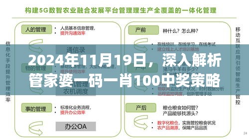 2024年11月19日，深入解析管家婆一码一肖100中奖策略数据_AVV3.49.48直观版