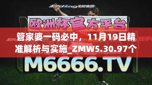 管家婆一码必中，11月19日精准解析与实施_ZMW5.30.97个性版