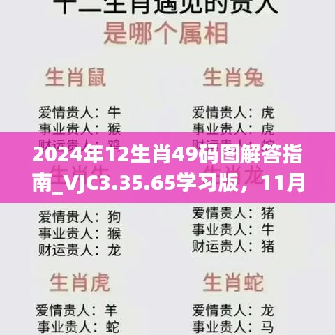 2024年12生肖49码图解答指南_VJC3.35.65学习版，11月19日专业推荐