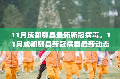 成都郫县新冠病毒最新动态，防控措施与案例分析（最新更新）