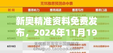 新奥精准资料免费发布，2024年11月19日EHI6.67.96定向版标准化目标解答