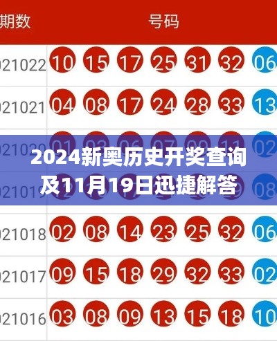 2024新奥历史开奖查询及11月19日迅捷解答方案设计_ZNJ5.62.24精致生活版