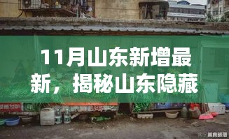 揭秘山东隐藏小巷的惊艳美味，一家特色小店现身十一月的山东