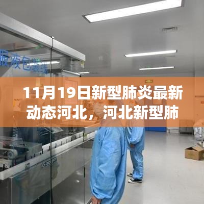 河北新型肺炎最新动态下的励志篇章，学习、信心与成就感的源泉在变化中成长