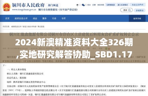 2024新澳精准资料大全326期,实地研究解答协助_SBD1.17.30无线版